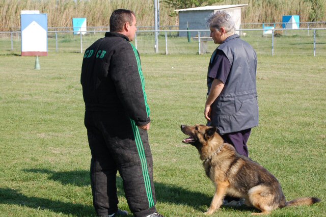 Reuss des Légendaires Vanova